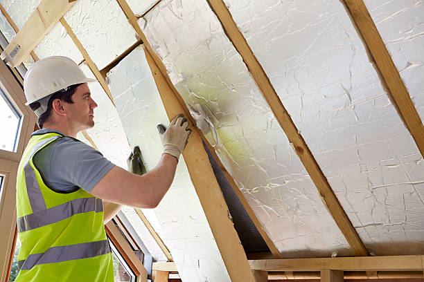Best Spray Foam Insulation  in Kualapuu, HI